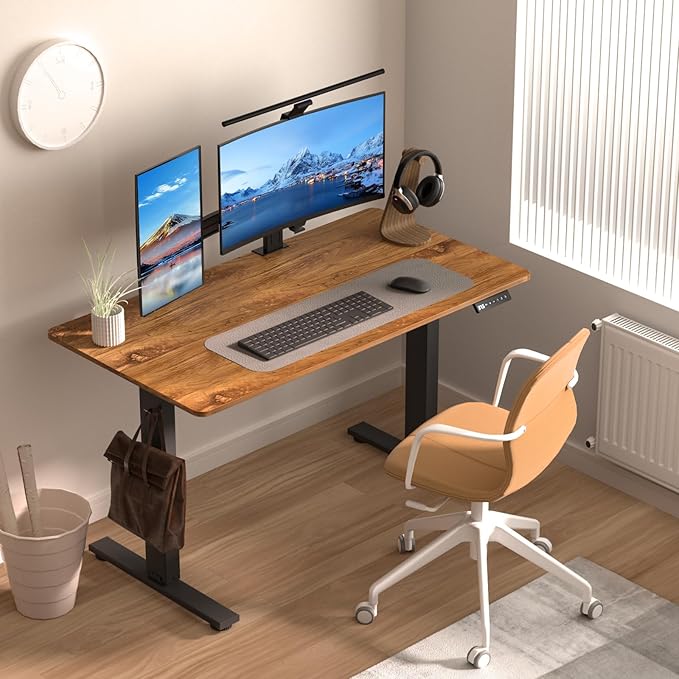 Electric Standing Desk Height Adjustable - 48 x 24 Inches Sit Stand up Desk & Memory Preset Ergonomic Rising Desks for Work, Home Office Workstation Gaming Rising Desk Study Table - LeafyLoom