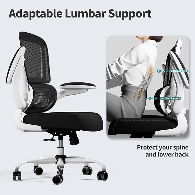 Office Chair - Ergonomic Desk Chair with Adjustable Lumbar Support, Mesh Computer Chair, Executive Chair for Home Office Comfortable Lumbar Support (White+Black) - LeafyLoom