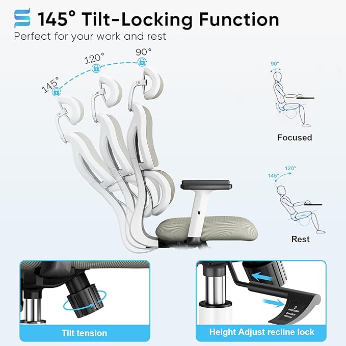 Sytas Ergonomic Office Chair, High Back Computer Desk Chair with Lumbar Support and Adjustable Headrest, Executive Swivel Chair for Home Office, Tilt Function - LeafyLoom