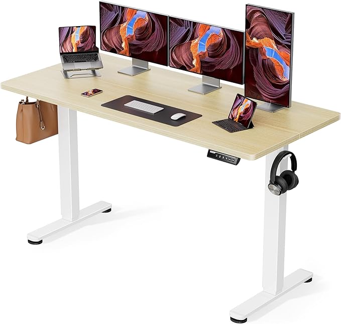 ErGear Height Adjustable Electric Standing Desk, 63x 28 Inches Sit Stand up Desk, Large Memory Computer Home Office Desk (Natural) - LeafyLoom