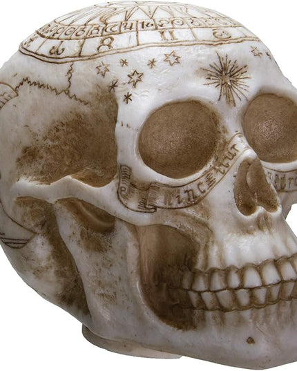 Pacific Giftware Astrology Skull Home Decor LED Lamp with Two USB Charging Ports, White - LeafyLoom
