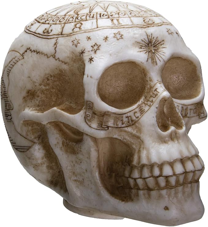 Pacific Giftware Astrology Skull Home Decor LED Lamp with Two USB Charging Ports, White - LeafyLoom