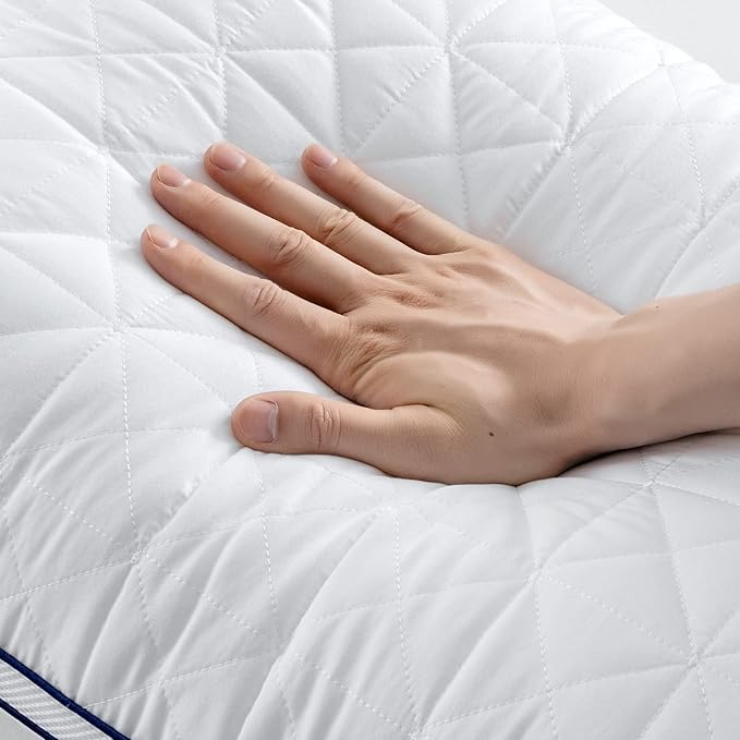 BedStory Standard Pillows Set of 2,Cooling Pillows with Mesh Design,Premium Soft Down Alternative Fill Supportive for Back, Stomach or Side Sleepers,Fluffy Pillows for Bed with Down Alternative - LeafyLoom