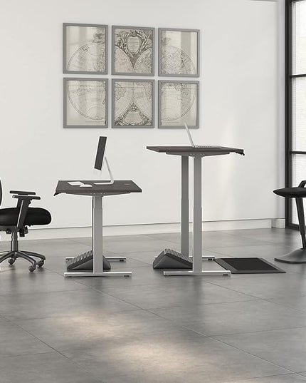 60W x 30D Height Adjustable Standing Desk - LeafyLoom