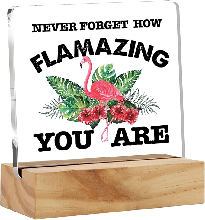 Motivational Flamingo Acrylic Desk Sign Decoration Plaque Never Forget How Flamazing You are Desk Sign Keepsake Home Office Room Desk Decor - LeafyLoom