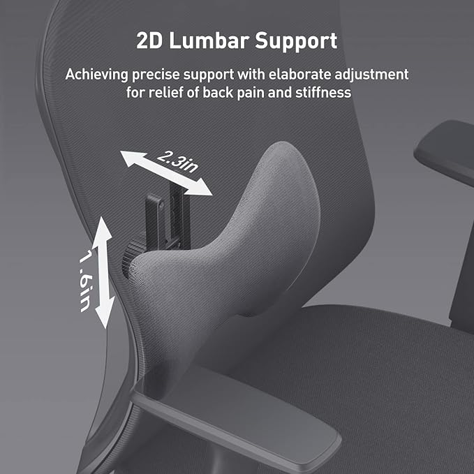 Hbada Ergonomic Mesh Office Chair, Computer Chair with Adjustable 2D Armrest, Swivel Office Chair -Adjustable Headrest with Lumbar Support and PU Wheels Black(No Footrest) - LeafyLoom
