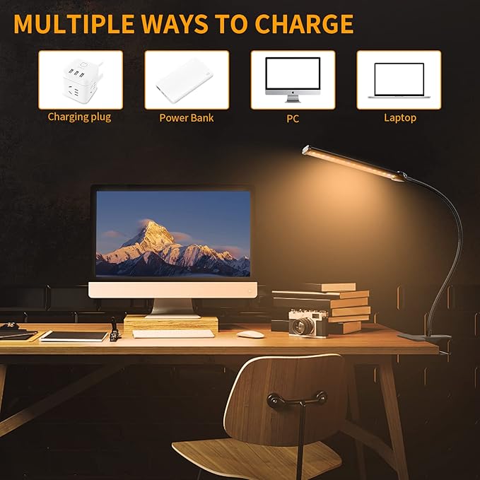 Desk Lamp for Office Home, 5W USB Amber LED Clip on Light, Flexible Gooseneck Clamp Light, 5 Brightness Levels, 4/8/12/18H Auto Timer, Eye-Caring Desk Light for Bedside Office,1600K Color (Metal) - LeafyLoom