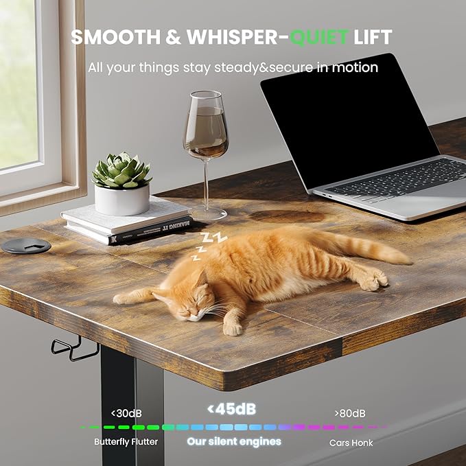 Electric Standing Desk Adjustable - 55 x 24 Inch Sit Stand up Desk with Cable Management - 3 Memory Preset Adjustable Height Desk Computer Home Office Desk - LeafyLoom