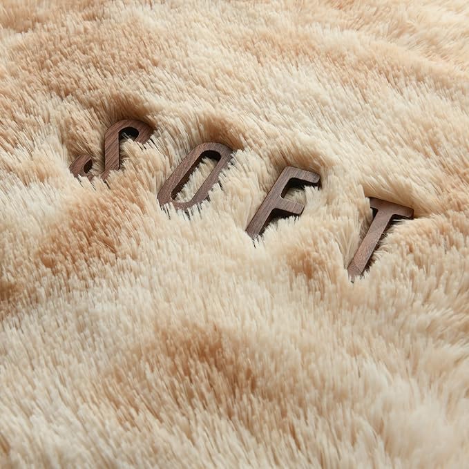 6x9 Large Area Rugs for Living Room, Super Soft Fluffy Modern Bedroom Rug, Tie-Dyed Beige Indoor Shag Fuzzy Carpets for Girls Kids Nursery Room Home Decor - LeafyLoom