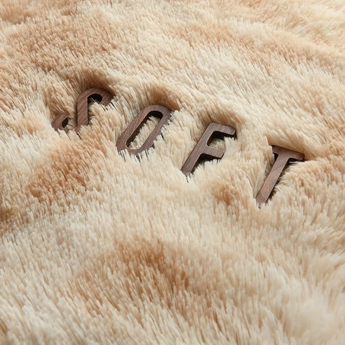 4x6 Large Area Rugs for Living Room, Super Soft Fluffy Modern Bedroom Rug, Tie-Dyed Beige Indoor Shag Fuzzy Carpets for Girls Kids Nursery Room Home Decor - LeafyLoom
