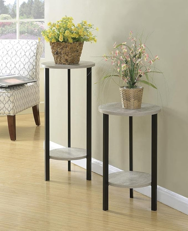 Convenience Concepts Graystone 31" Plant Stand, Faux Birch / Black - LeafyLoom