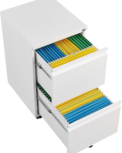 2 Drawer Mobile Lock and Casters,Pre-Assembled Metal Office Storage Filing Cabinets w/Anti-Dumping Fifth Round,for Letter/Legal/A4 Size,White - LeafyLoom