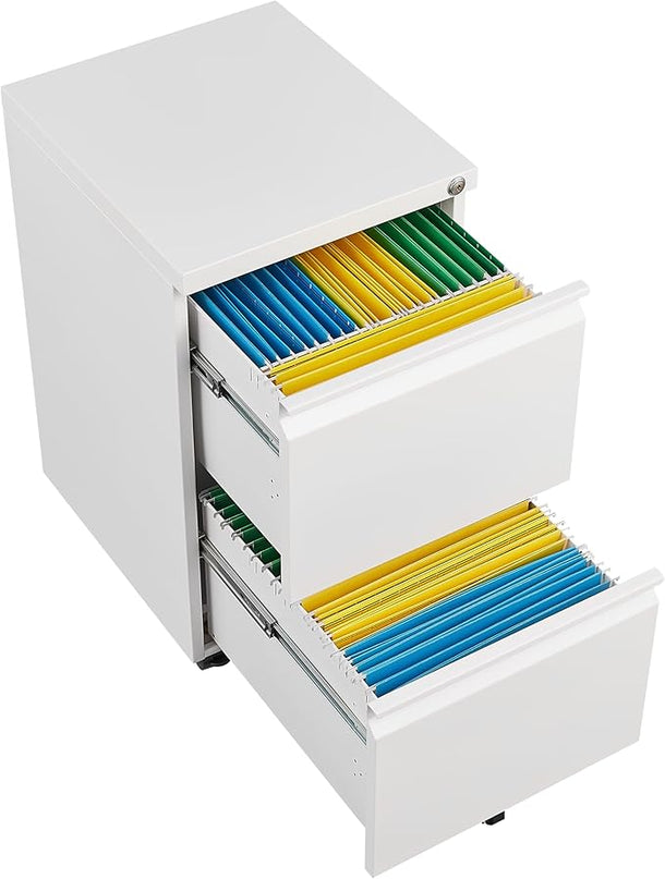 2 Drawer Mobile Lock and Casters,Pre-Assembled Metal Office Storage Filing Cabinets w/Anti-Dumping Fifth Round,for Letter/Legal/A4 Size,White - LeafyLoom