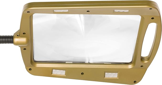 402039-55 Full Page 8 x 10 Inch Magnifier LED Illuminated Floor Lamp, Gold - LeafyLoom