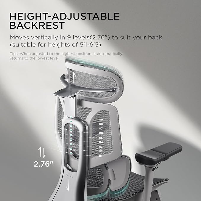 Hbada E3 Ergonomic Office Chair, Big and Tall Office Chair - with 3-Zone Dynamic Lumbar Support, 4D Adjustable Headrest, 6D Adjustable Armrests, Swivel Computer Chair for Home Office, Grey - LeafyLoom