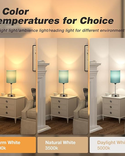 Dicoool Teal Bedside Lamp for Nightstand - 3 Color Temperature Table Lamp with USB C and A Ports, Pull Chain Lamp for Bedroom with AC Outlet, Desk Lamp with Silver Metal Base for Kids Girls - LeafyLoom