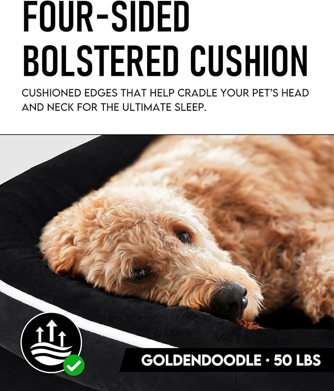 OhGeni Orthopedic Dog Bed Couch for X-Large Sized Pets with Egg Foam Support, Four-Sided Bolster Cushions, Soft Tear-Resistant Fabric, and Removable Machine Washable Plush Cover 42-Inch (Black) OhGeni