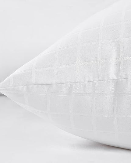 EIUE 2 Pack Queen Size Bed Pillows for Sleeping,Super Soft Down Alternative Microfiber Filled Pillows,20 x 30 Inches,white - LeafyLoom