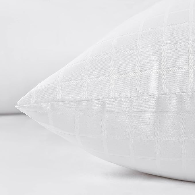 EIUE 2 Pack Queen Size Bed Pillows for Sleeping,Super Soft Down Alternative Microfiber Filled Pillows,20 x 30 Inches,white - LeafyLoom