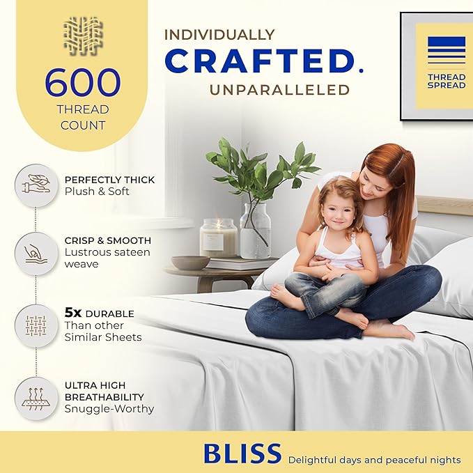 THREAD SPREAD 100% Egyptian Cotton Sheets Full Size - 600 Thread Count Sheets 4 PC 16" Deep Pocket Full Size Sheets Set, High Thread Count Soft Cooling Sateen Weave Hotel Luxury Sheets Set - Silver - LeafyLoom