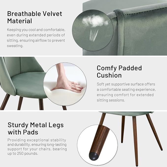 FurnitureR Dining Chairs Set of 2, Velvet Upholstered Accent Chair Living Room Chair with Soft Seat/Metal Legs Mid-Back Side Chairs for Home Kitchen Restaurant, Cactus - LeafyLoom