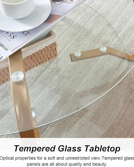 HOMBAZAAR Glass Coffee Table, Modern Coffee Table with Metal Frame and Tempered Glass Tabletop, 2-Tier Round Center Table for Living Room, Meeting Room, Gold - LeafyLoom