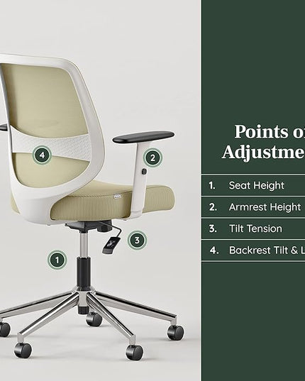 Branch Daily Chair - Computer Office Chair with Swivel, Lumbar Rest, and Adjustable Armrests - Sustainable, Stylish Mesh, & Adjustable Armrests - Comfortable Seating for Improved Posture - Green - LeafyLoom