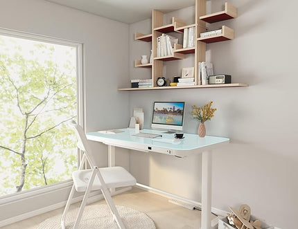 45.27 * 23.6 Height Adjustable Electric Standing Desk with Storage Sit Stand Desk Stand Up Desk Computer Desk Home Office Desk Tempered Glass Desktop (Tempered Glass/White Frame) - LeafyLoom
