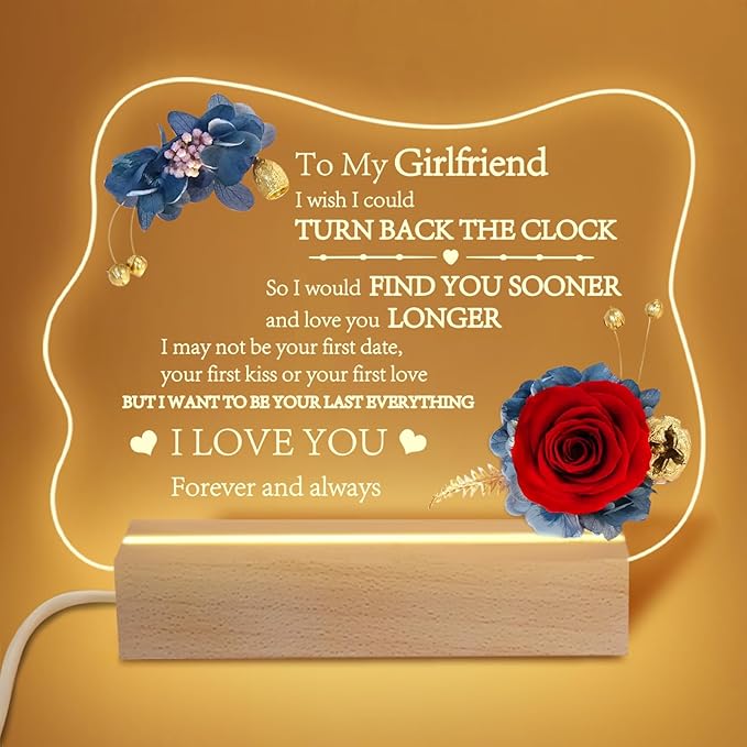 Yamonic Valentines Day Gifts for Her, Handmade Acrylic Plaque with Eternal Real Rose, Night Light with Preserved Rose Romantic Gifts for Girlfriend Wife Women (to My Girlfriend) - LeafyLoom