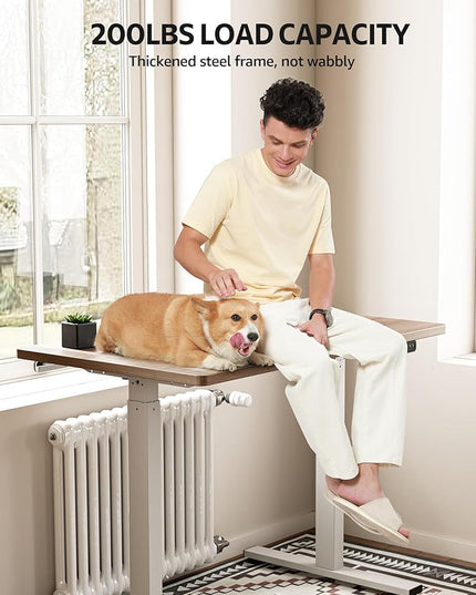 Electric Standing Desk Adjustable - 63 x 24 Inch Sit Stand up Desk with Cable Management - 3 Memory Preset Adjustable Height Desk Computer Home Office Desk - LeafyLoom