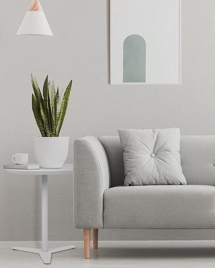 23 inch Round End Table, Pedestal Side Table, Coffee Table for Living Room Sofa (White) - LeafyLoom