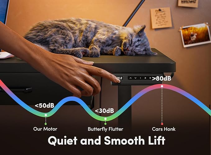 FEZIBO Adjustable Height Electric Standing Desk with Double Drawer, 48 x 24 Inches Stand Up Home Office Desk with Splice Tabletop, Black Frame/Black Top - LeafyLoom