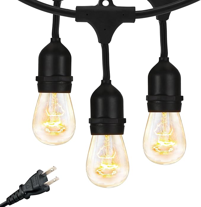 Brightech Ambience Pro Incandescent Outdoor String Lights - Commercial Grade Waterproof Patio Lights with 48 Ft Dimmable Edison Bulbs, Porch String Lights for Patio, Backyard - 15 Bulbs 11W Brightech