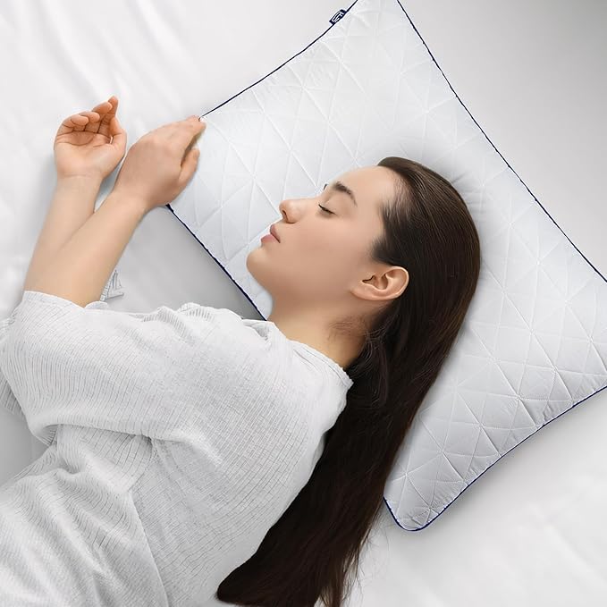 BedStory Standard Pillows Set of 2,Cooling Pillows with Mesh Design,Premium Soft Down Alternative Fill Supportive for Back, Stomach or Side Sleepers,Fluffy Pillows for Bed with Down Alternative - LeafyLoom