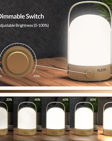 Table Lamp Rechargeable LED Desk Lamp Stepless Dimmer Bedside Table Lamp for Bedroom and Office, Portable Table Lamp for Outdoor & Camping, 360° Eye-Care Lighting & Portable Handle Long-Lasting - LeafyLoom