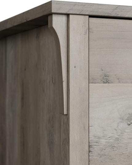 Bush Furniture Salinas Accent Storage Cabinet with Doors in Driftwood Gray - LeafyLoom