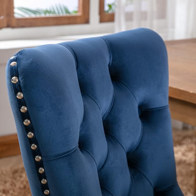NicBex Haerin-SD-00098-LWJ Dining Chairs, 25.5"x19.7"x37.4", Blue - LeafyLoom