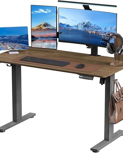Electric Standing Desk Height Adjustable - 48 x 24 Inches Sit Stand up Desk & Memory Preset Ergonomic Rising Desks for Work, Home Office Workstation Gaming Rising Desk Study Table - LeafyLoom