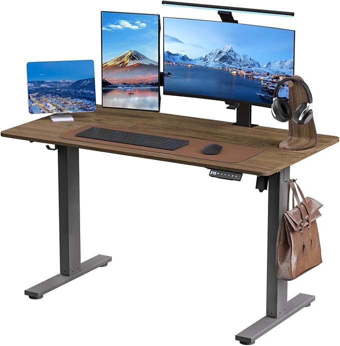 Electric Standing Desk Height Adjustable - 48 x 24 Inches Sit Stand up Desk & Memory Preset Ergonomic Rising Desks for Work, Home Office Workstation Gaming Rising Desk Study Table - LeafyLoom