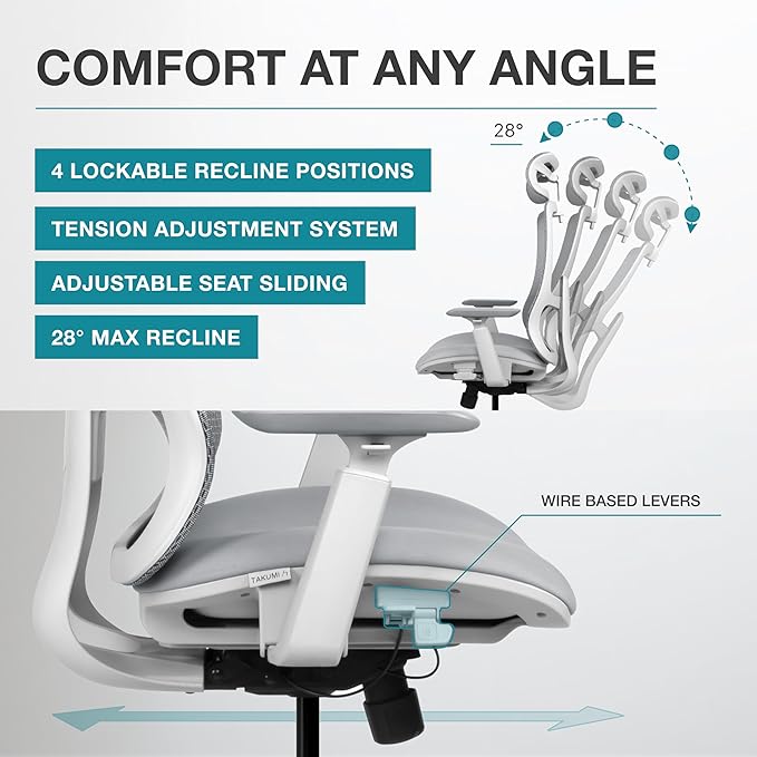 Takumi Ergonomic Office Chair Lumbar Support: Ergonomic Chair, Mesh Office Chair, Ergonomic Desk Chair, Best Desk Chair for Long Hours, Mesh Office Chair for Heavy People - Premium Cushion - LeafyLoom