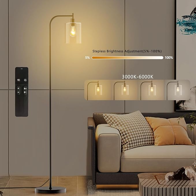PAZZO LED Floor Lamp, Industrial Standing Lamp with Glass Lampshade, Ideal for Living Room, Bedroom, and Office, Matte Black Finish (includes Remote Control) - LeafyLoom