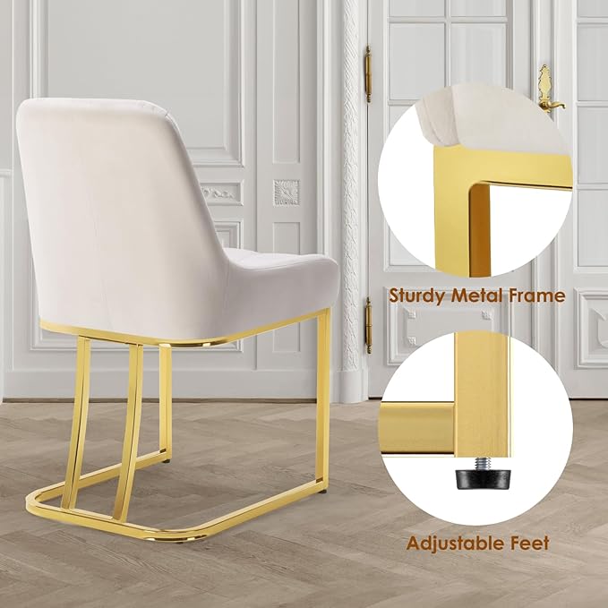 STARY Upholstered Velvet Armless Dining Room Chairs with Gold Metal Legs for Kitchen Restaurant, Beige- Set of 2 - LeafyLoom