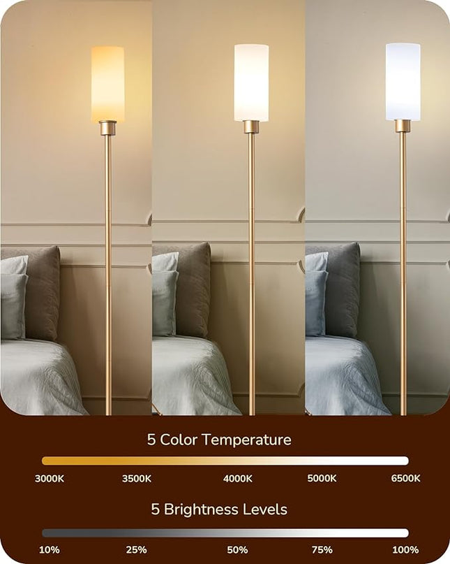 EDISHINE LED Corner Floor Lamp with Glass Lampshade, Modern Dimmable Lamp with Remote, 5 CCT, 65" Tall Standing Light for Living Room, Bedroom, Office, Bulb Included (Gold) - LeafyLoom