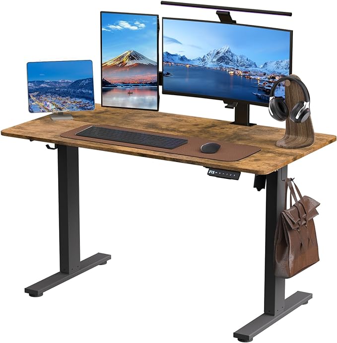 Electric Standing Desk Height Adjustable - 48 x 24 Inches Sit Stand up Desk & Memory Preset Ergonomic Rising Desks for Work, Home Office Workstation Gaming Rising Desk Study Table - LeafyLoom