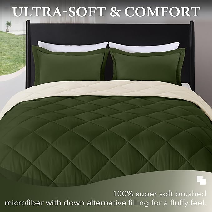 downluxe Queen Comforter Set, Lightweight Solid Down Alternative Reversible, 3-Piece Queen Size Comforter Set with 2 Reversible Pillow Shams (Lichen Green/White) - LeafyLoom