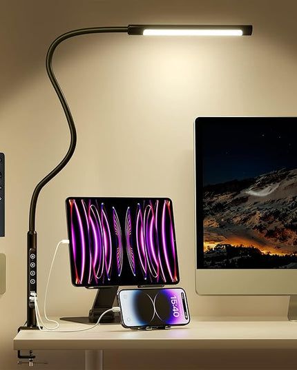 Desk Lamp with Remote Control, Aluminum Alloy Desk Lamps for Home Office, Desk Light with Dimmable 6 Color Modes & 6 Brightness, LED Desk Lamp with 2 USB Charging Ports (Type-C & A) - LeafyLoom