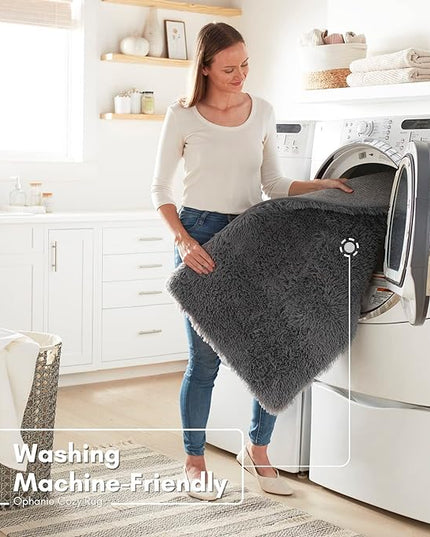 Ophanie Small Area Rug, 2x3 Machine Washable Throw Grey Cheap Fluffy Shaggy Soft Bedside Rug, Indoor Floor Gray Carpet for Kids Baby Boys Teen Dorm Room Doorway, Nursery,Home Decor Aesthetic - LeafyLoom