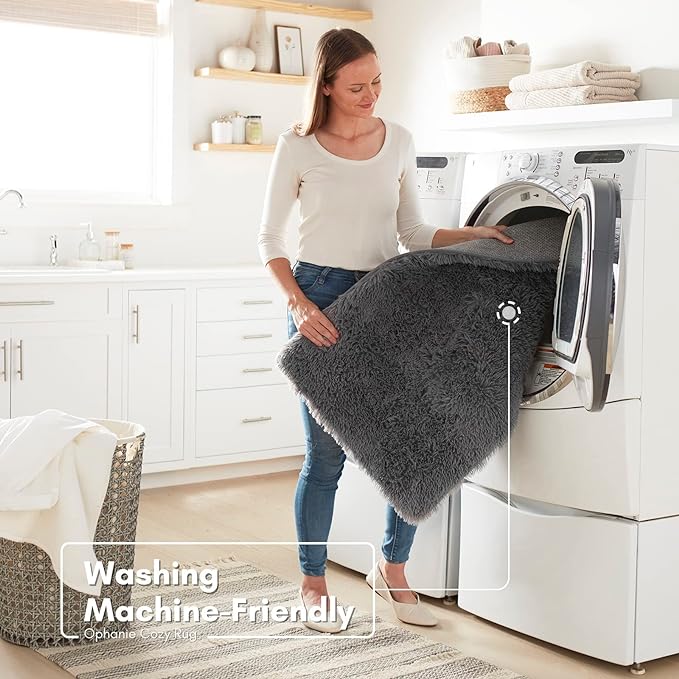 Ophanie Small Area Rug, 2x3 Machine Washable Throw Grey Cheap Fluffy Shaggy Soft Bedside Rug, Indoor Floor Gray Carpet for Kids Baby Boys Teen Dorm Room Doorway, Nursery,Home Decor Aesthetic - LeafyLoom