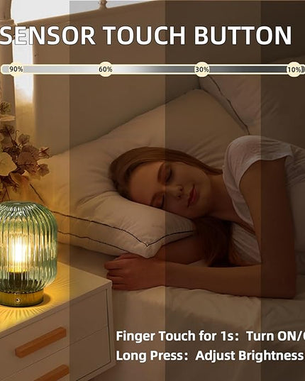 MJ PREMIER Rechargeable Battery Operated Lamp Cordless Lamp Portable Dimmable Brightness Lamps USB LED Table Light with Memory Function Emergency Lamp for Power Outage for Indoor,Outdoor Green - LeafyLoom