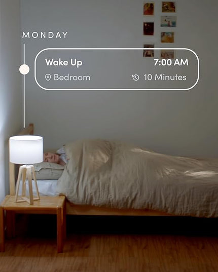 LIFX White A19 WiFi Smart LED Light Bulb, Dimmable, No Hub Required, Works with Alexa and Apple Home Kit, Hey Google, 2700k Warm White, 650 Lumens, 25,000-hour Lifetime, L3A19LW06E26US/12, 12 Pack LIFX